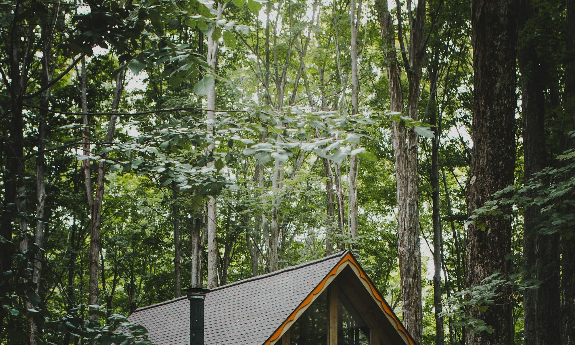Karakteristieke vakantiewoning in Twente