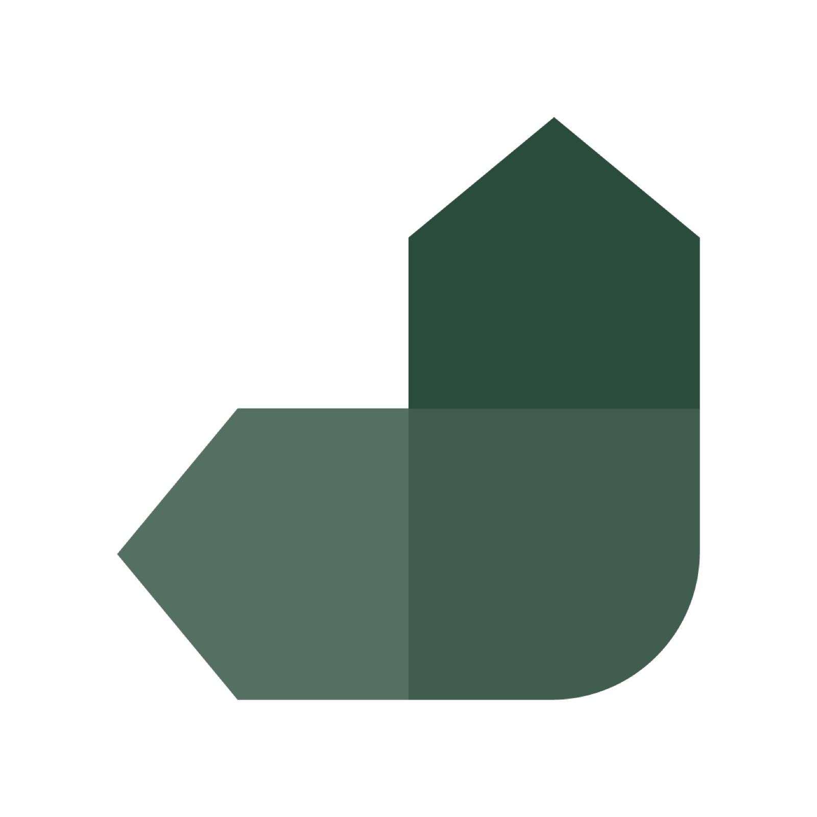 Huisstijl in British Jaguar racing green