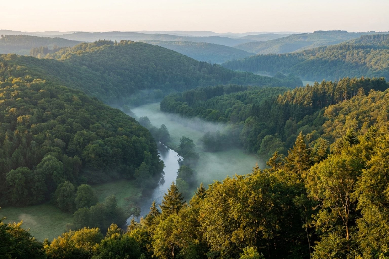 Bebost rivierdal in de Ardennen bij zonsopkomst, met mist boven het water