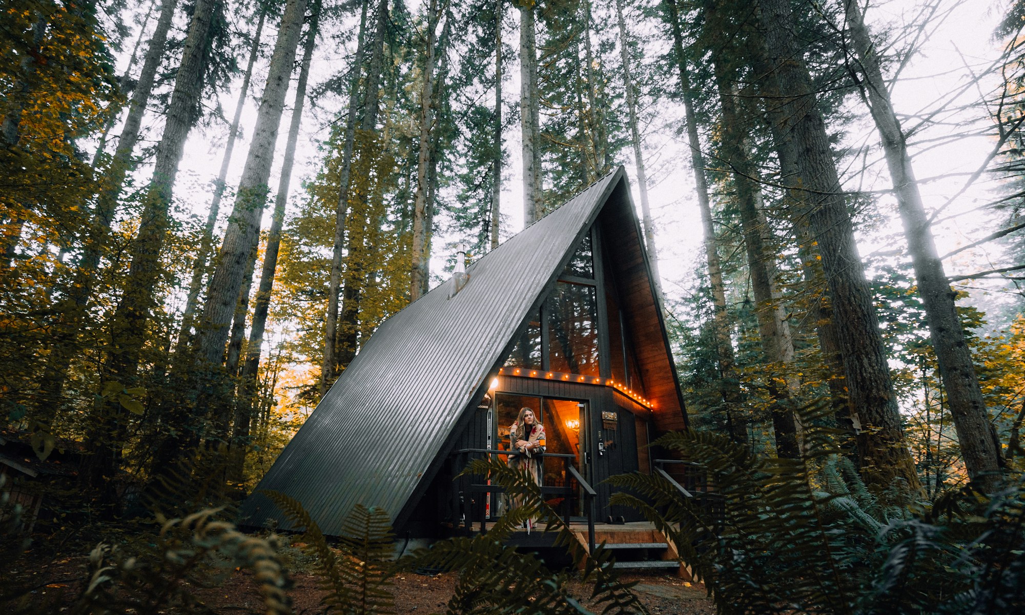 Premium A-frame chalet met warm interieurlicht in een Drents bos